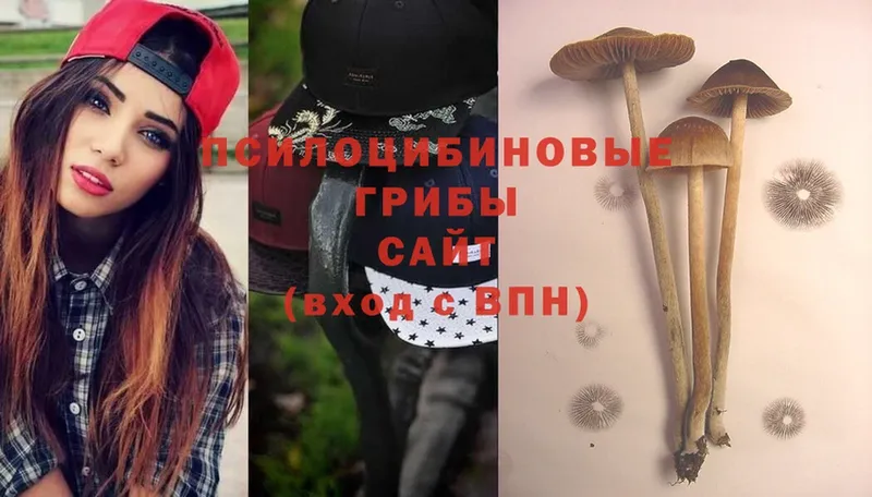 сайты даркнета официальный сайт  Ермолино  Галлюциногенные грибы Cubensis 